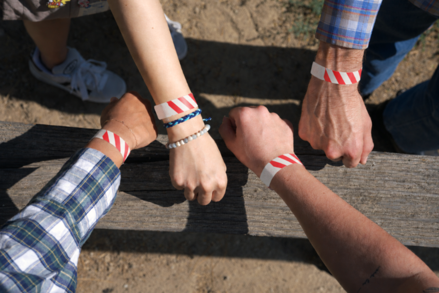 Complete Guide to Tyvek Wristbands