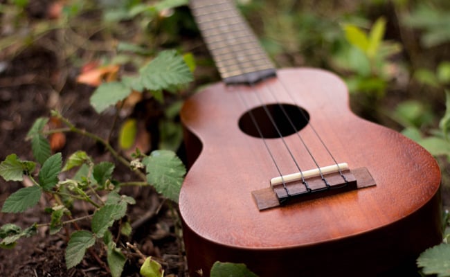 Winners Announced - Grass Roots Festival Bursary 2016