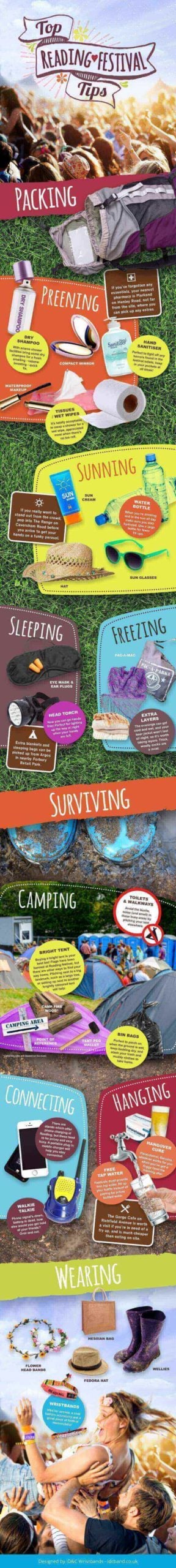 Readng festival infographic